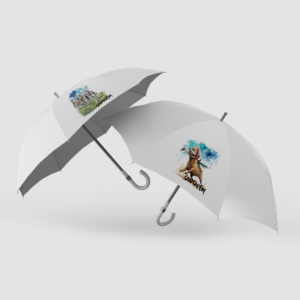 Chapéus de Chuva